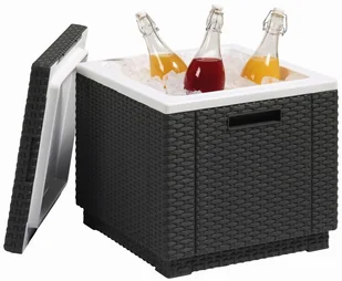 ALLIBERT Lodówka Pojemnik na lód i praktyczna pufa 213828 213828 - Pozostałe meble ogrodowe - miniaturka - grafika 11