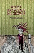 Fantasy - Włosy krzyczące na głowie - miniaturka - grafika 1