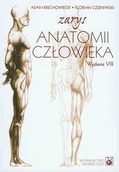Książki medyczne - Wydawnictwo Lekarskie PZWL Zarys anatomii człowieka. Wydanie 8 - Adam Krechowiecki, Florian Czerwiński - miniaturka - grafika 1