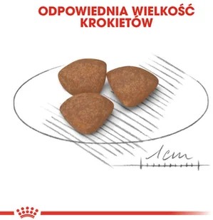 Royal Canin Mini Puppy 8kg + 12x85g saszetka 9003579008201/0 - Mokra karma dla psów - miniaturka - grafika 6