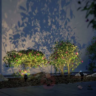 Paulmann Plug & Shine Pike ZigBee RGBW 3 szt. - Lampy ogrodowe - miniaturka - grafika 3