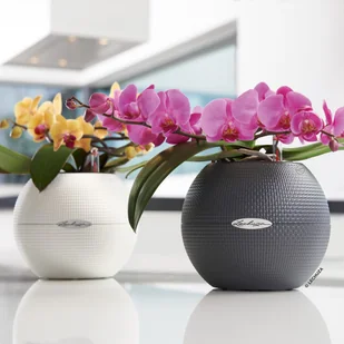 Lechuza Doniczka PURO Color 20 grafitowy czarny - Donice - miniaturka - grafika 9