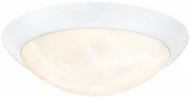 Lampy sufitowe - Westinghouse lighting 61066 28 cm ściemniana lampa sufitowa LED do wnętrz, białe wykończenie z białym szkłem alabastrowym 6106640 - miniaturka - grafika 1