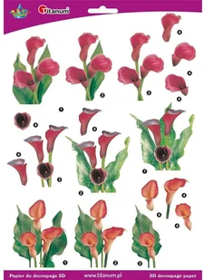 Papier 3D do decupage 22007 - Decoupage - miniaturka - grafika 2