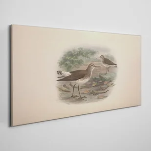 PL Coloray Obraz na Płótnie Ptaki Zwierzęta 100x50cm - Obrazy i zdjęcia - miniaturka - grafika 7