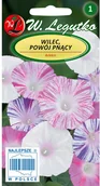 Nasiona i cebule - Legutko Wilec Arlequin mieszanka - miniaturka - grafika 1