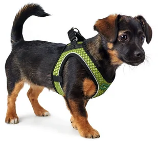 Hunter Szelki Hilo Comfort limonkowe XS 39613-uniw - Szelki dla psów - miniaturka - grafika 3