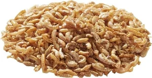 Tetra Gammarus 1L 12 CE - Pokarm dla płazów i gadów - miniaturka - grafika 2