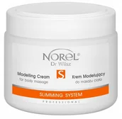 Olejki i świece do masażu - Krem Modelujący Do Masażu Ciała Norel 500ml PB116 - miniaturka - grafika 1