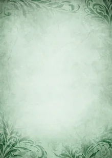 Argo DYPLOM EMERALD 170G./25/ - Dyplomy i okładki - miniaturka - grafika 2