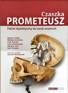 Książki medyczne - Czaszka Prometeusz - pakiet dydaktyczny do nauki anatomii - miniaturka - grafika 1