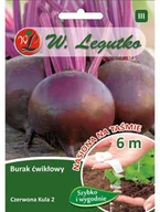 Nasiona i cebule - Legutko Burak ćwikłowy CZERWONA KULA 2 - miniaturka - grafika 1