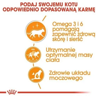 Royal Canin Feline Intense Beauty w galaretce karma mokra dla kotów dorosłych, zdrowa skóra, piękna sierść saszetka 85g 8740 - Mokra karma dla kotów - miniaturka - grafika 4