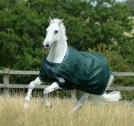 Derki dla konia - Bucas Derka padokowa 100g 600D GREEN-LINE TURNOUT - Bucas - miniaturka - grafika 1