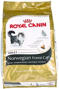 Royal Canin Norwegian Forest Adult 10 kg - Sucha karma dla kotów Royal Canin Norwegian Forest Adult 10 kg - Sucha karma dla kotów - miniaturka - grafika 3