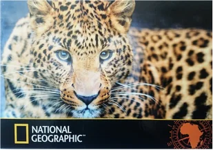 St. Majewski Podkład szkolny na biurko obustr National Geographic - Akcesoria na biurko - miniaturka - grafika 3