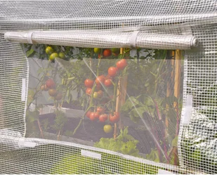 Home&Garden Tunel foliowy 250 x 500 cm (12,5 m2) biały 603600 - Szklarnie ogrodowe - miniaturka - grafika 4