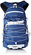 Plecaki - Forvert Ice Louis plecak, 50,5 x 26,5 x 12 cm, 19,5 l, niebieski, 50,5 cm x 26,5 cm x 12 cm, 19,5 l 880229.0_Blue_50 x 30 x 15 cm, 20 Liter - miniaturka - grafika 1