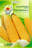 Nasiona i cebule - Toraf Kukurydza Złota Karłowa nasiona warzyw 20g 00140 - miniaturka - grafika 1
