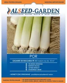 Nasiona i cebule - ALSEED-GARDEN POR GIGANTE DE BULGARIA ok300SZT - miniaturka - grafika 1