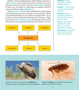 Wydawnictwo MAC Biologia. Podręcznik klasa 6 881341 - Podręczniki dla szkół podstawowych - miniaturka - grafika 4