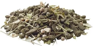 Versele-Laga Degu Nature pokarm dla koszatniczki 700g MS_16091 - Karma dla gryzoni - miniaturka - grafika 2