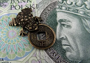 Żabka mosiężna mała z monetą na pomnażanie pieniędzy - Figurki dekoracyjne - miniaturka - grafika 2