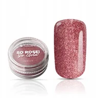 Ozdoby do paznokci - Silcare Pyłek Do Paznokci So Rose So Gold 0.5g - miniaturka - grafika 1