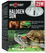 Akcesoria do terrarium - REPTI PLANET REPTIPLANET ŻARÓWKA HALOGEN SUN 25W - miniaturka - grafika 1