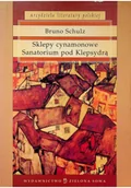 Literatura obyczajowa - Sklepy cynamonowe Sanatorium pod Klepsydrą Używana - miniaturka - grafika 1
