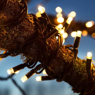 Markslojd Łańcuch świetlny Chrissline Extra 50 LED 2 300 K - Oświetlenie świąteczne - miniaturka - grafika 4