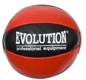 Piłki do ćwiczeń - Evolution Piłka Lekarska TR-150 Skóra Naturalna 5 - miniaturka - grafika 1