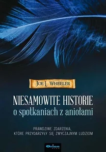 Niesamowite historie o spotkaniach z aniołami - Religia i religioznawstwo - miniaturka - grafika 2
