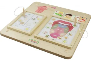 Masterkidz MASTERKIDZ Tablica Edukacyjna Zmysł Wzroku ME15815 - Tablice dla dzieci - miniaturka - grafika 6
