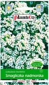Nasiona i cebule - Plantico Smagliczka nadmorska - miniaturka - grafika 1