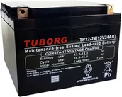 Baterie do zasilaczy awaryjnych UPS - Akumulator Tuborg Vrla Agm TP12-24 12V 24Ah - miniaturka - grafika 1