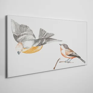 PL Coloray Obraz Canvas Rysunek zwierzę ptak gałąź 120x60cm - Obrazy i zdjęcia - miniaturka - grafika 2