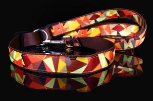 Haas F1 Team ZOO LESZCZ (PL) Solidna Regulowana Z Obrożą 2w1 Dla Psa Skóra Naturalna 30 mm / 220 cm ZL01809 ZOO LESZCZ (PL) - Smycze dla psów - miniaturka - grafika 3