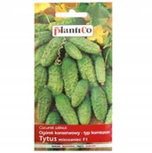 Nasiona i cebule - Ogórek konserwowy korniszon Tytus F1 nasiona 3g - miniaturka - grafika 1