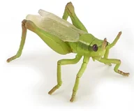 Figurki dla dzieci - Papo Konik polny - miniaturka - grafika 1