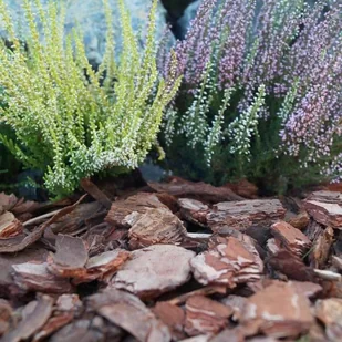 Sobex Kora sortowana 20 - 50 mm 80 l MP100OG80000000SR - Ziemia ogrodowa - miniaturka - grafika 2