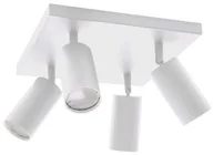 Lampy sufitowe - Ideus Plafon LAMPA sufitowa MANAM 03762 metalowa OPRAWA regulowane tuby na listwie reflektorki okrągłe białe 03762 - miniaturka - grafika 1