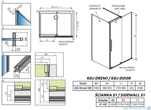 Radaway Furo Gold Kdj kabina 100x120cm prawa szkło przejrzyste 10104522-09-01R/10110480-01-01/10113120-01-01 - Kabiny prysznicowe - miniaturka - grafika 2