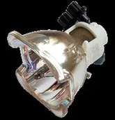 Lampy do projektorów - Ushio Lampa do NSH300MD - oryginalna lampa bez modułu NSH300W E21.8 - miniaturka - grafika 1