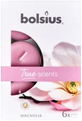Świece - Bolsius Podgrzewacz zapachowy TRUE SCENTS magnolia 6 szt. - miniaturka - grafika 1