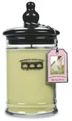 Świece - Bridgewater Candle Company Bridgewater świeca zapachowa Spring Dress BW032-128 - miniaturka - grafika 1
