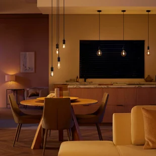 Philips HUE Hue E27 7W żarówka Giant globe filament - Żarówki LED - miniaturka - grafika 3
