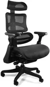Fotele i krzesła biurowe - Unique Meble Krzesło ergonomiczne biurowe z podnóżkiem ERGOTHRONE czarna siatka - miniaturka - grafika 1