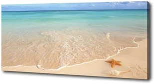 Foto obraz na płótnie Rozgwiazda na plaży - Obrazy i zdjęcia - miniaturka - grafika 4