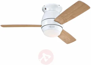 Westinghouse Halley wentylator, łopatki, klon - Wentylatory sufitowe - miniaturka - grafika 2